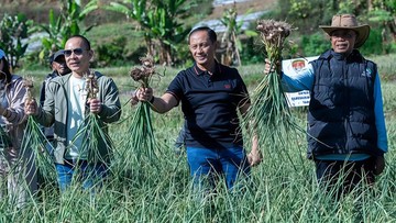 Panen Raya Bawang Putih di Lombok Timur: Satgas Pangan Polri Sukses Tingkatkan Produksi Nasional