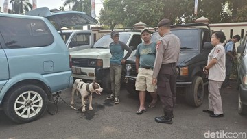 Tragedi Mengerikan di Jasinga: Bocah 9 Tahun Tewas Diserang Anjing Pemburu Babi Hutan Saat Memancing