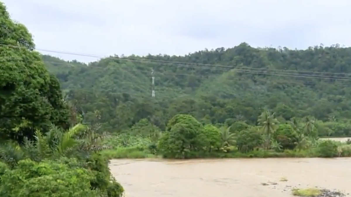 Foto: Kawasan hutan Batang Toru. (YouTube/CNN Indonesia)