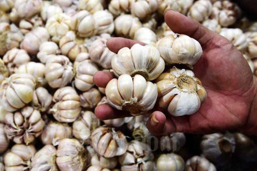 Pedagang menunjukan bawang putih di salah satu pasar di Jakarta, Selasa (3/3/2020). / Bisnis - Abdurachman