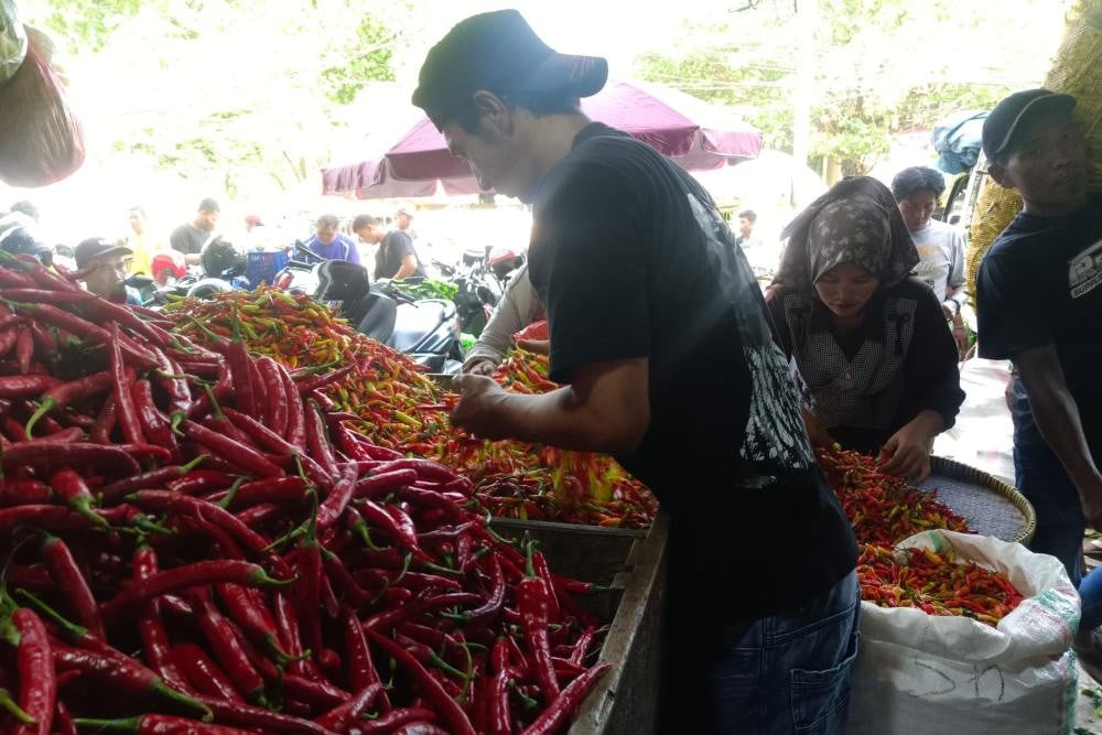 Potret komoditas cabai rawit yang dijual pedagang di Pasar Keputran Surabaya, Jumat (20/2/2026). Harga bahan pangan ini terpantau melonjak hingga menyentuh Rp125.000 per kilogram. /Bisnis-Julianus Palermo