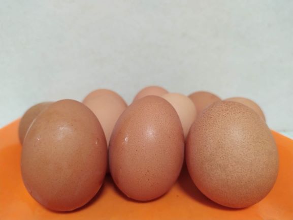 Ilustrasi telur. Foto: Medcom/Daviq