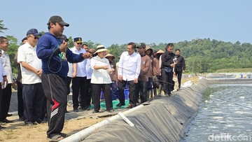Titiek Soeharto Tinjau Produktivitas Warga Binaan Melalui Budidaya Udang Vaname di Nusakambangan