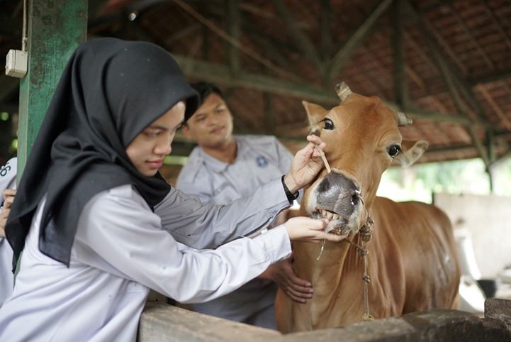 Prodi Teknologi dan Manajemen Ternak Sekolah Vokasi IPB. Foto: IPB