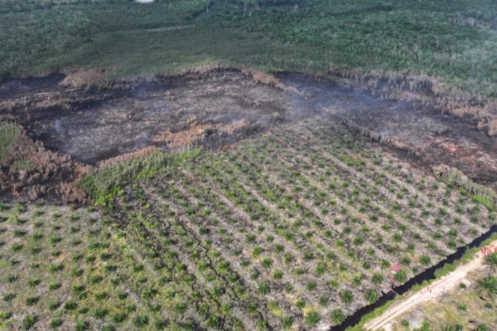 Kondisi dan upaya pemadaman kebakaran hutan dan lahan di Desa Sumber Hidup Kecamatan Pedamaran Timur Kabupaten Ogan Komering Ilir./Dok. Balai Pengendalian Kebakaran Hutan Kementerian Kehutanan Wilayah Sumatera.