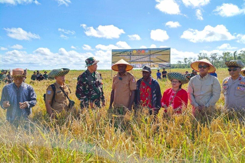 Pemerintah tengah mempercepat pengembangan Papua Selatan sebagai lumbung pangan nasional. Pemerintah pun telah mengalokasikan anggaran sebesar Rp1,3 triliun pada 2026. / Istimewa.