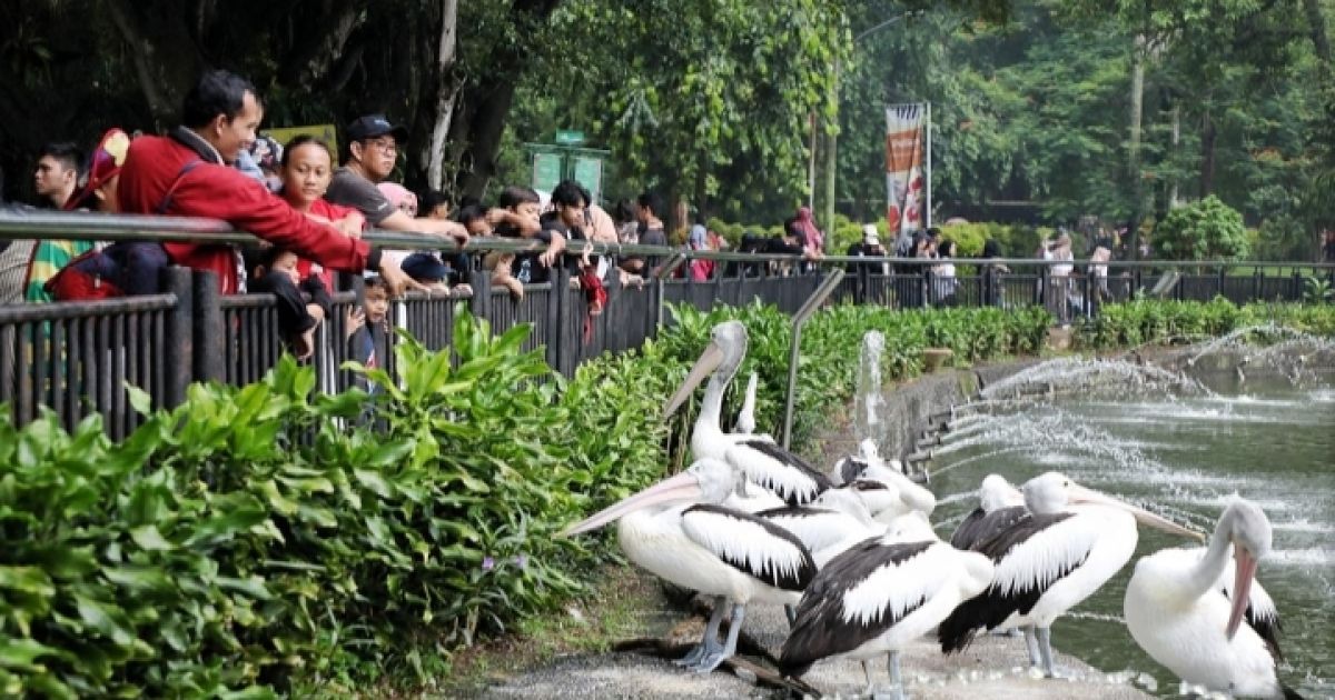 Tempat Wisata Populer di Jakarta, Cocok untuk Liburan Bersama Keluarga (Foto: Taman margasatwa ragunan/Berita Jakarta)