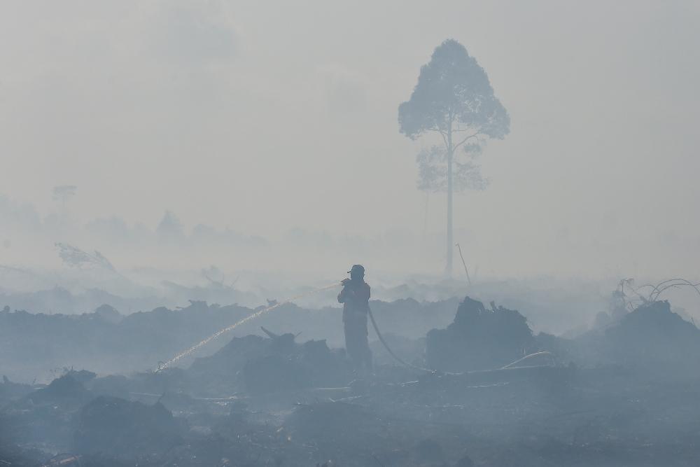 Petugas Manggala Agni Daops Kota Jambi memadamkan api kebakaran hutan dan lahan (karhutla) di lahan gambut Desa Gambut Jaya, Muaro Jambi, Jambi, Kamis (24/7/2025). Karhutla yang telah memasuki hari kelima tersebut sudah menghanguskan 250 hektare lebih lahan, sementara upaya pemadaman masih terus dilakukan Manggala Agni, BPBD, TNI/Polri, dan masyarakat. ANTARA FOTO/Wahdi Septiawan/bar