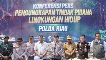Kapolda Riau Marah Besar: Mangrove Rohil Dirusak Alat Berat, Ancaman Nyata Bagi Warga Pesisir